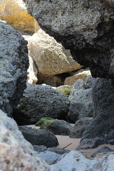 Rock by Hasse Schoo