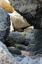 Rock by Hasse Schoo thumbnail