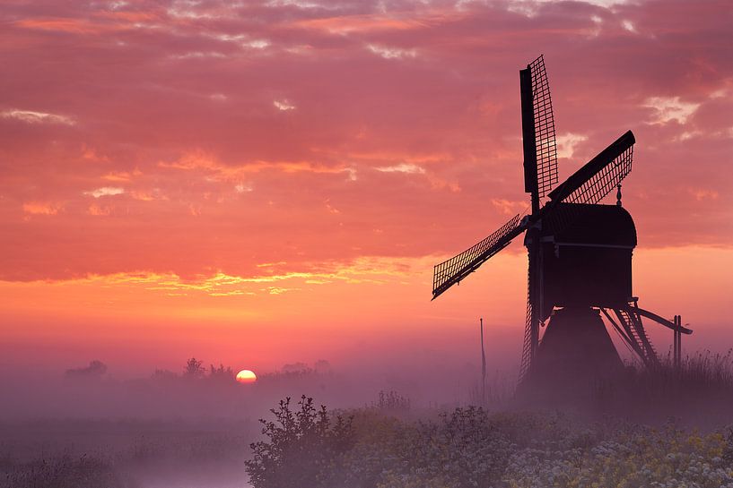 Sunrise in the Alblasserwaard by Halma Fotografie