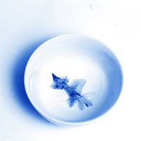 Delftsblauwe Tegel - 52