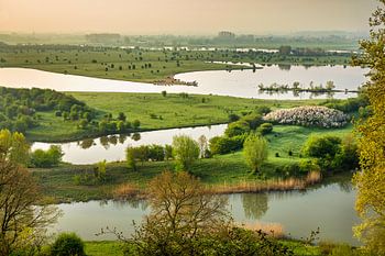 Natuurreservaat Blauwe Kamer