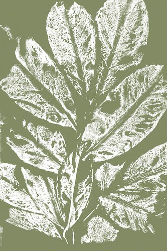 Feuilles blanches dans le style Japandi. Art botanique moderne en vert chaud pastel et blanc.