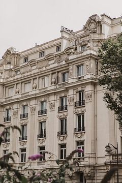 Building facade Paris