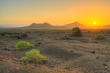 Vulkanlandschaft auf Lanzarote im Zauber des ersten Sonnenlichts