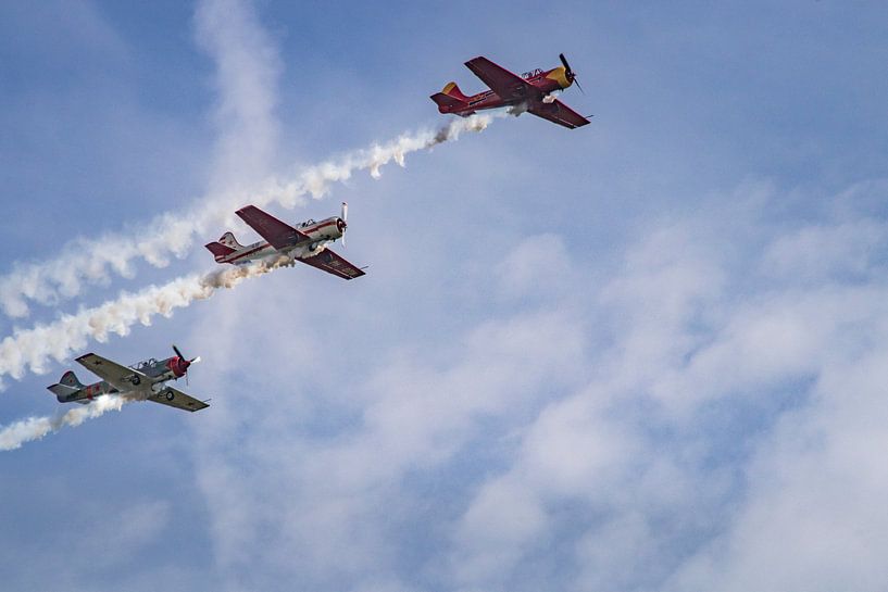 Trippel planes von Freddy Hoevers