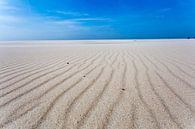 Le sable et le vent par Thijs Struijlaart Aperçu