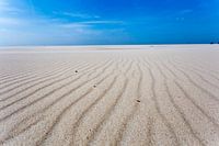 Le sable et le vent