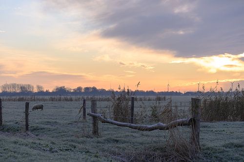 zonsopkomst over het koude landschap