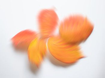 Speelse herfstkleuren 5