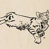 'Boefie' tekening kat van Pieter Hogenbirk