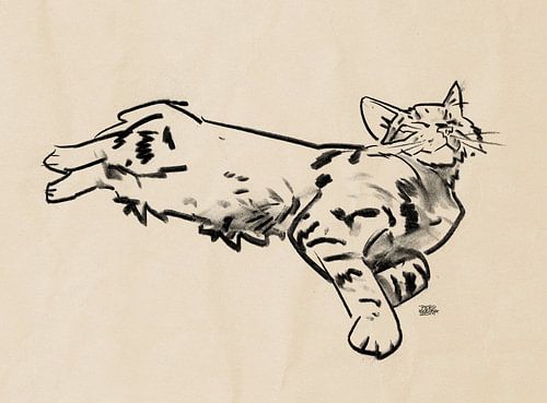 'Rascal' drawing cat