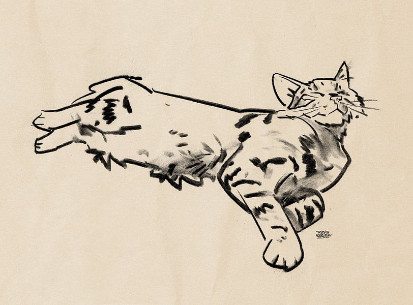 'Boefie' tekening kat van Pieter Hogenbirk