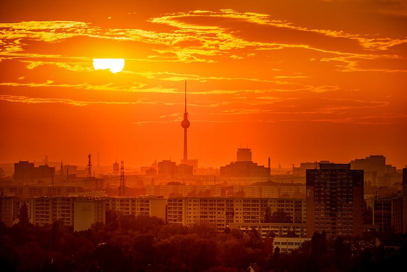 The golden Berlin by Salke Hartung