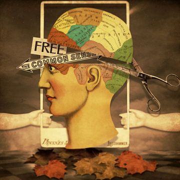 Free the Common Sense by Marja van den Hurk