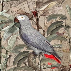 Tropical Ephemera van Marja van den Hurk