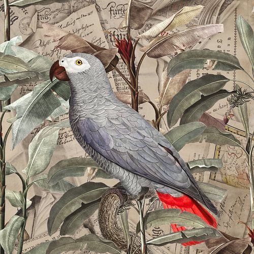 Tropical Ephemera von Marja van den Hurk