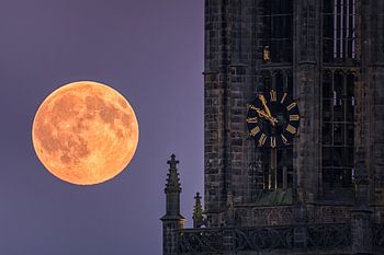 Lange Jan Kirchturm in Amersfoort bei Vollmond