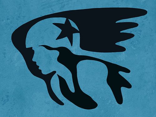 Roller Derby (blocker pivat jammer roller skates drawing star helmet skating blue tough girls sport)