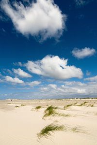 Amrum - la plage la mer du Nord sur Reiner Würz / RWFotoArt