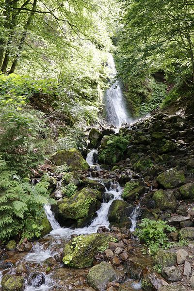 Wasserfall von Kees Maas