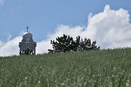 Een haverveld onder een zomerse hemel van Claude Laprise