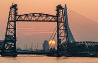 Zonsondergang bij de Hef in Rotterdam van Ilya Korzelius thumbnail
