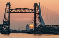 Sonnenuntergang an der Hef in Rotterdam