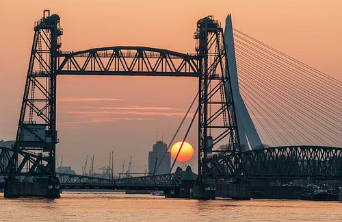 Sonnenuntergang an der Hef in Rotterdam von Ilya Korzelius