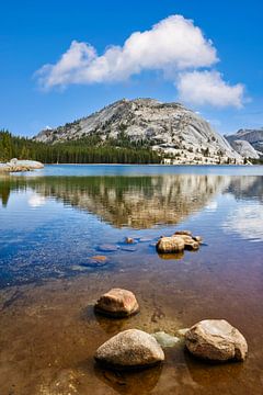 YOSEMITE VALLEY Tenaya Lake by Melanie Viola