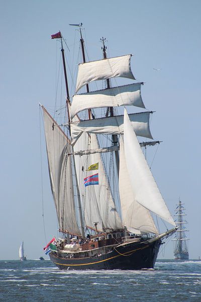 Gulden Leeuw von Rodney Pauwels