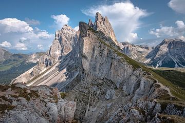 Een blik op de Seceda I | Een reis door de Dolomieten, Italië van Roos Maryne - Natuur fotografie