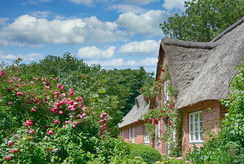 Wohnidylle in Nordfriesland von Peter Eckert