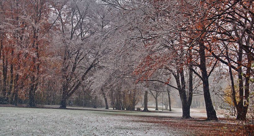 Winter sneeuw panorama van Edgar Schermaul