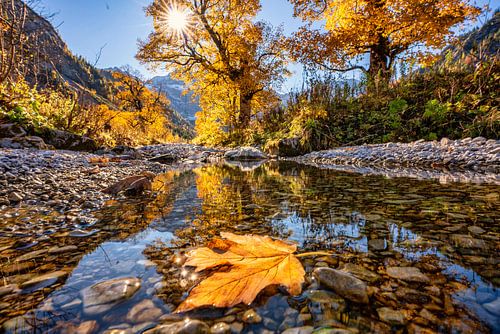 Geweldige esdoorn vloer