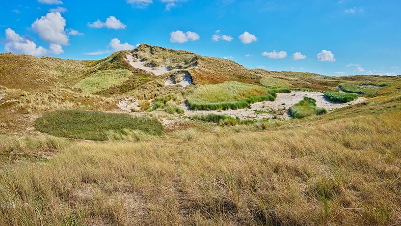 dunes the coastal landscape of the Netherlands by eric van der eijk