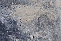 Textur des Gesteins