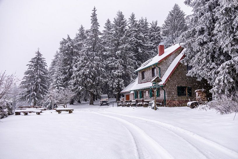 Première randonnée hivernale à travers la forêt enneigée de Thuringe près de Tambach-Dietharz - Thuringe - Allemagne par Oliver Hlavaty