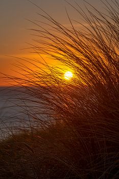 Coucher de soleil dans les dunes