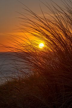 Zonsondergang in de duinen van Ronald Witte