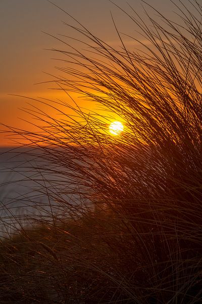 Sunset in the dunes by Ronald Witte