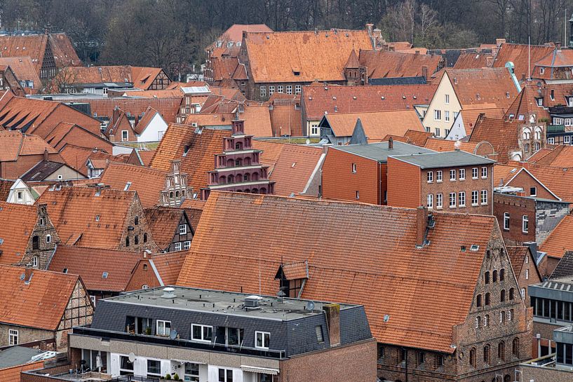 Een blik over Lüneburg van Martijn