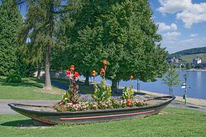 an der Rheinpromenade in Bad Breisig