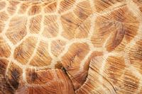 wood and giraffe