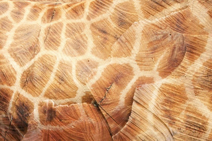 hout en giraffe van Martijn Wams