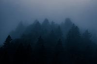 Misty Mountains