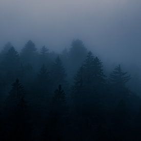 Misty Mountains van SEE ME fotografie
