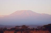 Kilimanjaro von Cinthia Mulders Miniaturansicht