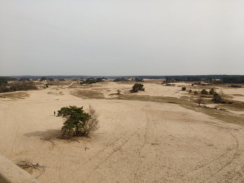 Uitzicht vanaf uitkijktoren bij kootwijk von Veluws