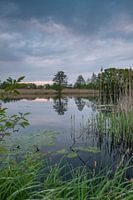 Pond near Mönau in the Upper Lusatian Heath and Pond Landscape