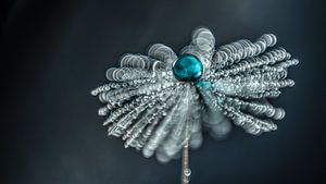 Löwenzahnflaum mit Tropfen